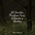 50 Sonidos Pacíficos Para Relajarse y Meditar