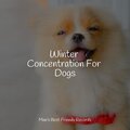 Winter Concentration For Dogs