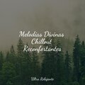 Melodías Divinas Chillout Reconfortantes