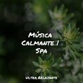 Música Calmante | Spa