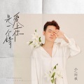 小阿枫 - 爱上你是一个错
