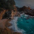 50 Grabaciones Tranquilas Para Una Vibración PacíFICA