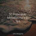 Musica Para Relajarse、Zona Música Relaxante、Musica Relaxante - Caída De Lluvia