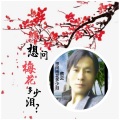 蔡云 - 想问梅花多少泪