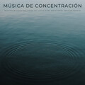 Música De Concentración: Reconfortantes Melodías De Lluvia Para Enfocarse Profundamente