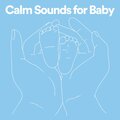 Twinkle Twinkle Little Star - Humpty Dumpty Bedtime Lullabies, Pt. 2