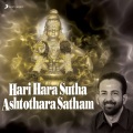 Sree Vishnu Ashtothara Satha Namavali