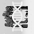 Fawn - BIOS (Single)