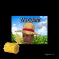 JKL - It’s Corn!