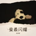呆呆湘、林若枫 - 爱最闪耀