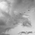 Spilt Milk - Wind