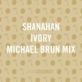 Ivory (Michael Brun Mix)