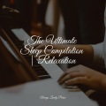The Ultimate Sleep Compilation | Relaxation