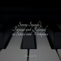 Chillout Piano Session、Classical Piano Academy、Soothing Piano Collective - Moonlight