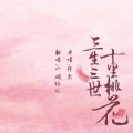 小碗仔儿 - 三生三世