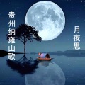 贵州纳雍山歌  月夜思