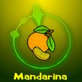 Scrappy 47 - Mandarina