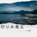 Xu皓翔 - 你从未离去 (remix: 白挺)