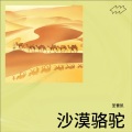 圣曹凯 - 沙漠骆驼