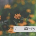 爱是一个人
