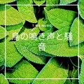 ブラウンノイズ若返り - 時々あなたは素敵なノイズで最初からやり直す必要があります