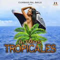 Cumbias Pal Baile Vol. 6
