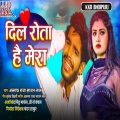 Altaf Raja、Sajan Lal - Dil Rota Hai Mera