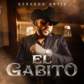 El Gabito (Explicit)