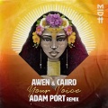Caiiro、Awen - Your Voice (Adam Port Remix)