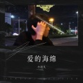 华洋 - 爱的海绵