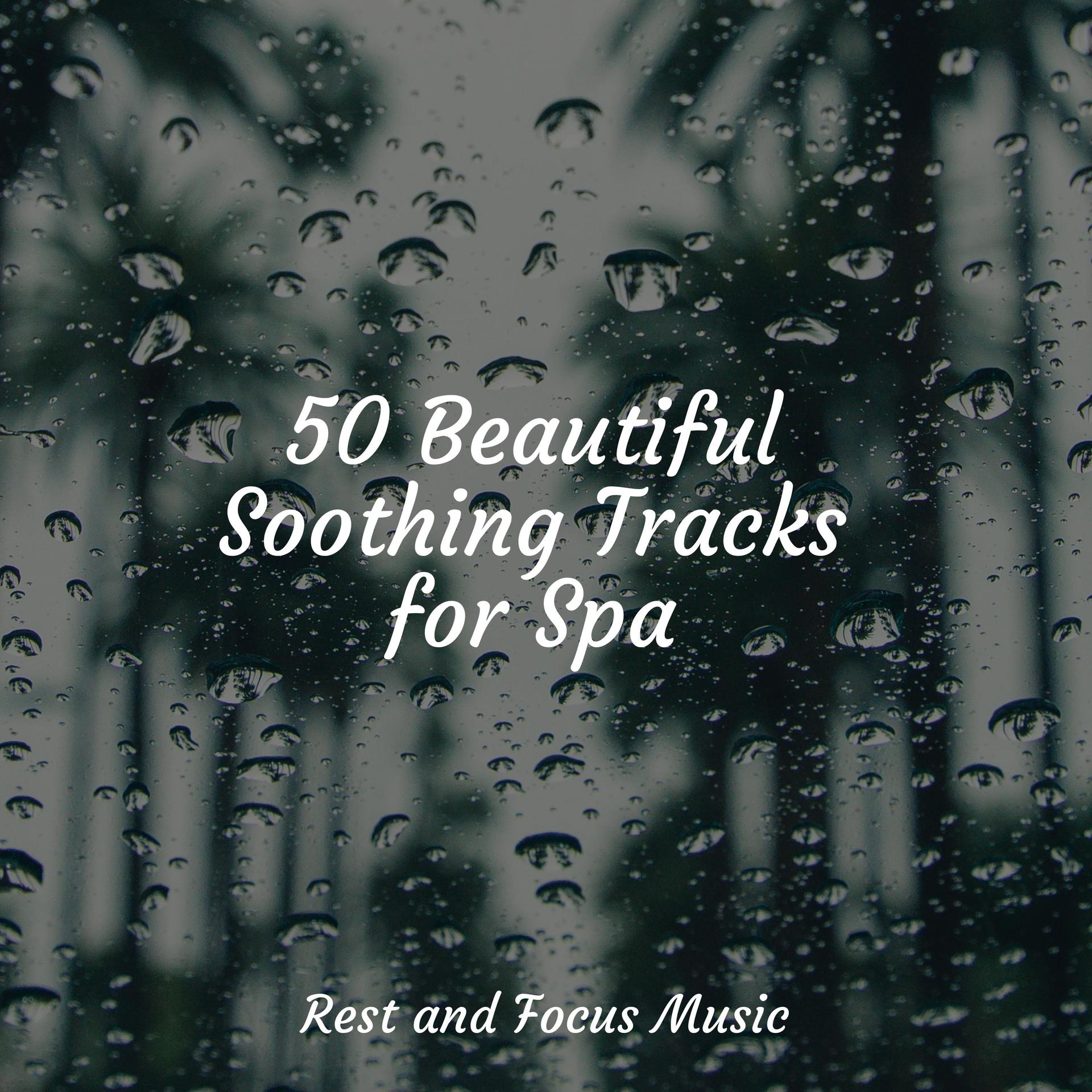 50 Beautiful Soothing Tracks for Spa