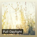 Meditative Music Guru - After a Long Time