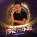 罗艺达 - 你会开车吗