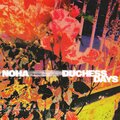 n.o.h.a. - Duchess Days (Single)