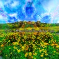 白噪声研究 - 噪音中的一些平静