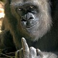 We Don't Give A **** (feat. Bauer) [Explicit]