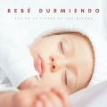 Bebé Durmiendo: Paz En La Tierra De Los Sueños