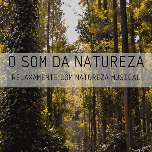 Música Para Cães Adormecidos、Musica para Massagem Especialistas、Relaxamento Soundscape - Pássaros Theta