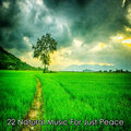 22 Natural Music For Just Peace
