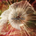 47 Sleep To Heal