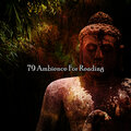 79 Ambience For Reading