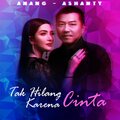 Ashanty、Anang Hermansyah - Tak Hilang Karena Cinta