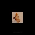 EENWaves - Lanthanum