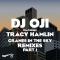 dj oji、Tracy Hamlin - Cranes In The Sky