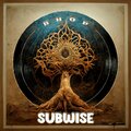 Subwise