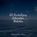 Chakra Meditation Universe、Life Sounds Nature、Music For Absolute Sleep - Sunny Day