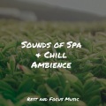 Musique Zen Garden、Ambient Forest、Relaxing Music Therapy - Calm on the Mountain