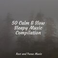 50 Calm & Slow Sleepy Music Compilation
