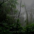 Powerful Sleep Aid