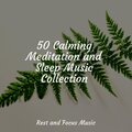 50 Calming Meditation and Sleep Music Collection